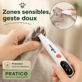 Tondeuse de précision pour chat