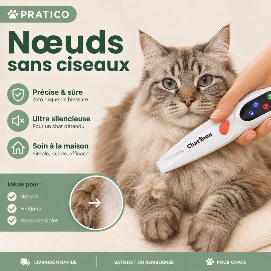 Tondeuse de précision pour chat