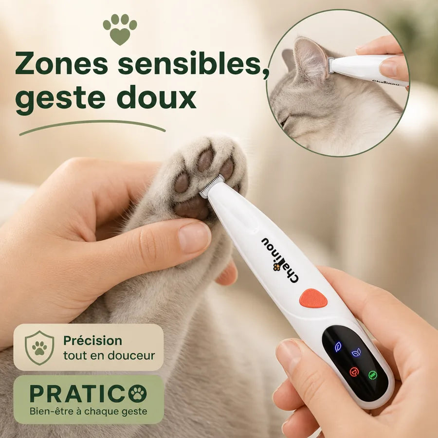 Tondeuse de précision pour chat