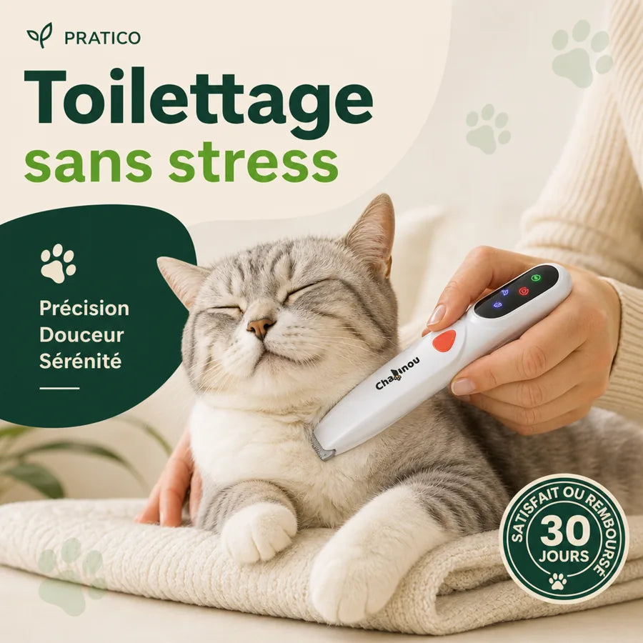 Tondeuse de précision pour chat