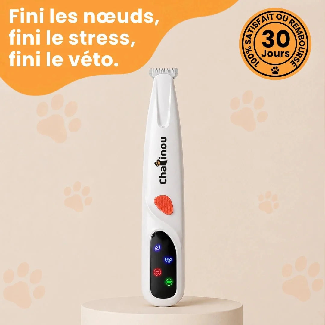 Tondeuse de précision pour chat