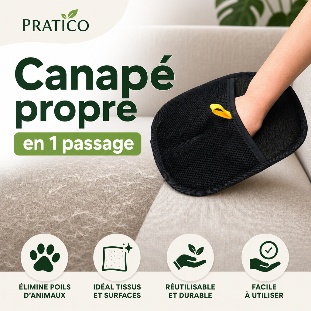 PRATICO Brosse anti-poils pour tissus et surfaces - petpal-02-canape